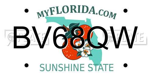 BV68QW Florida License Plate
