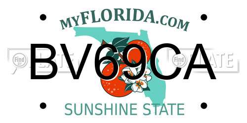 BV69CA Florida License Plate