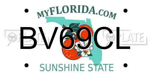 BV69CL Florida License Plate