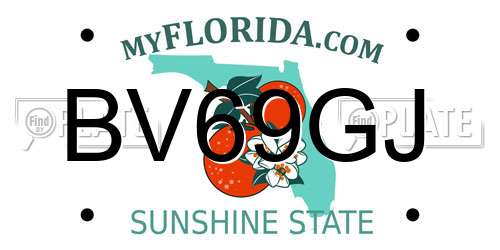BV69GJ Florida License Plate