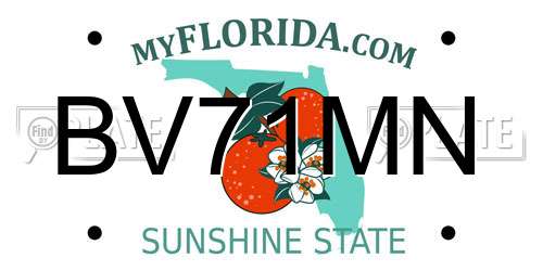 BV71MN Florida License Plate