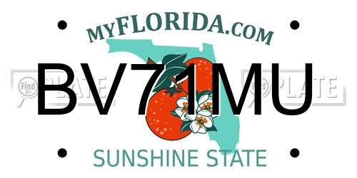 BV71MU Florida License Plate