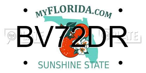 BV72DR Florida License Plate