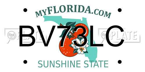 BV73LC Florida License Plate
