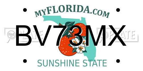 BV73MX Florida License Plate