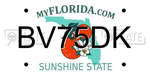 BV75DK Florida License Plate