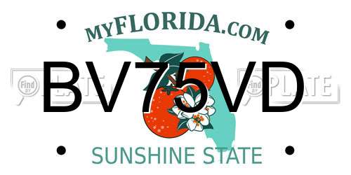 BV75VD Florida License Plate