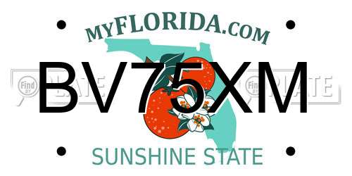 BV75XM Florida License Plate