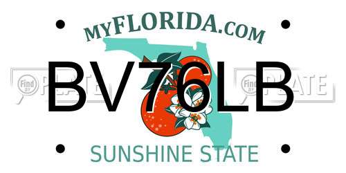 BV76LB Florida License Plate