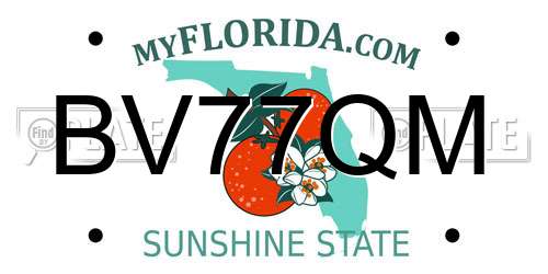 BV77QM Florida License Plate