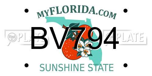 BV794 Florida License Plate