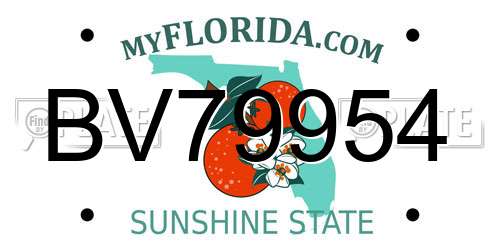 BV79954 Florida License Plate