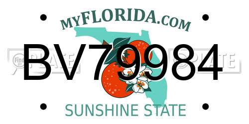 BV79984 Florida License Plate
