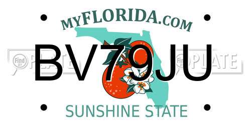 BV79JU Florida License Plate