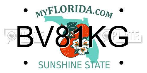 BV81KG Florida License Plate