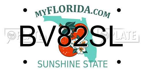 BV82SL Florida License Plate