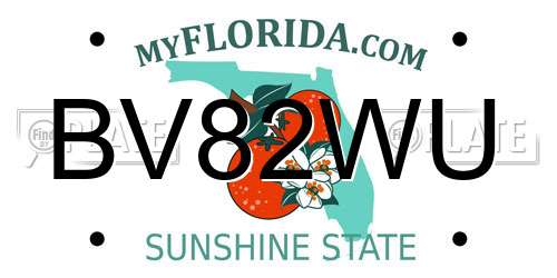 BV82WU Florida License Plate