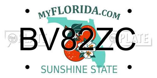 BV82ZC Florida License Plate