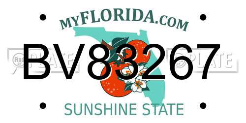 BV83267 Florida License Plate