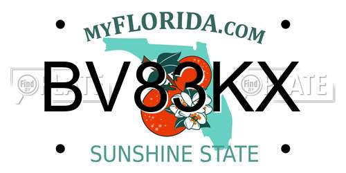 BV83KX Florida License Plate