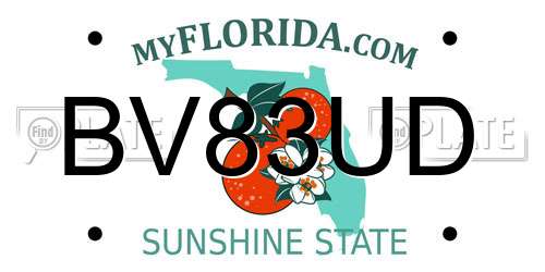 BV83UD Florida License Plate