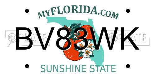 BV83WK Florida License Plate