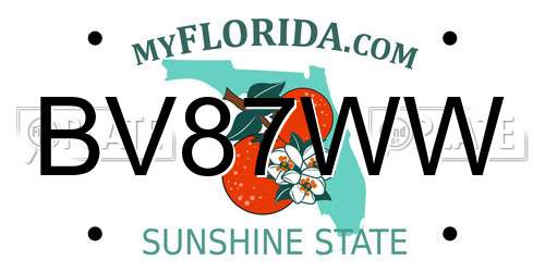 BV87WW Florida License Plate