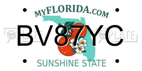 BV87YC Florida License Plate