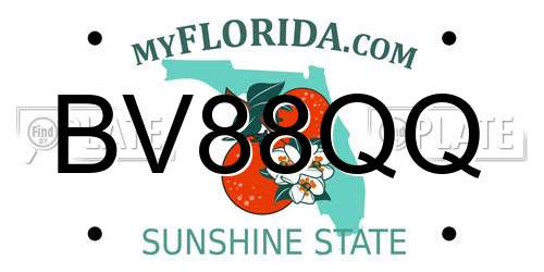 BV88QQ Florida License Plate