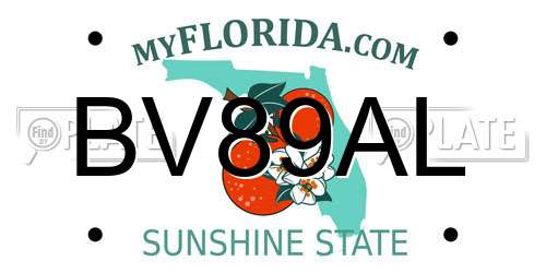 BV89AL Florida License Plate