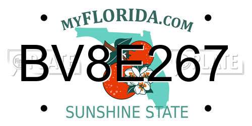 BV8E267 Florida License Plate