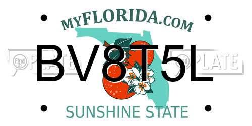 BV8T5L Florida License Plate