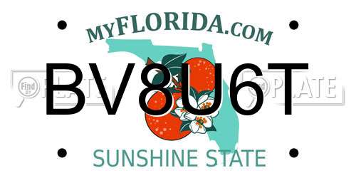 BV8U6T Florida License Plate