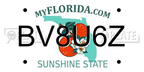 BV8U6Z Florida License Plate