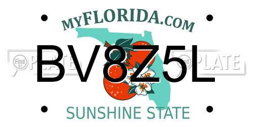 BV8Z5L Florida License Plate