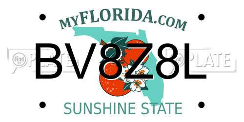 BV8Z8L Florida License Plate