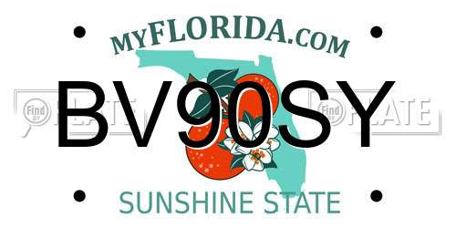 BV90SY Florida License Plate