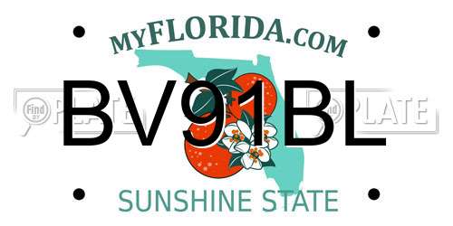 BV91BL Florida License Plate
