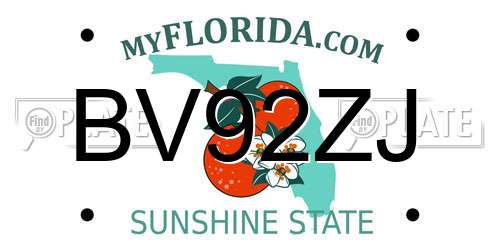 BV92ZJ Florida License Plate