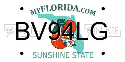BV94LG Florida License Plate