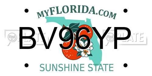 BV96YP Florida License Plate