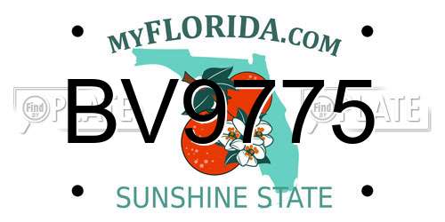 BV9775 Florida License Plate