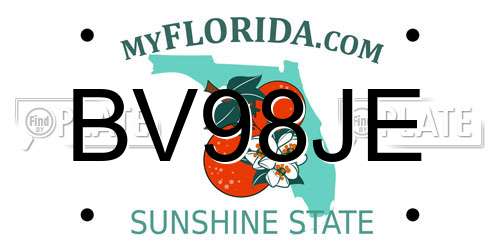 BV98JE Florida License Plate