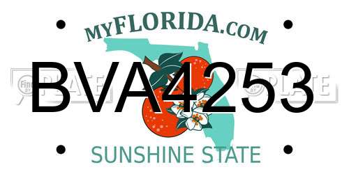 BVA4253 Florida License Plate