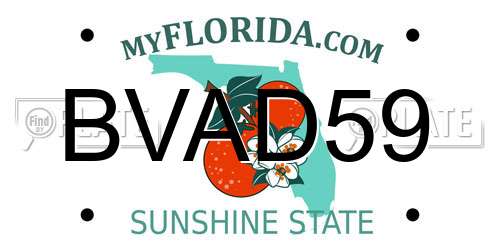BVAD59 Florida License Plate