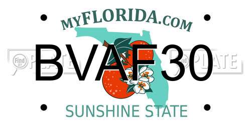 BVAF30 Florida License Plate