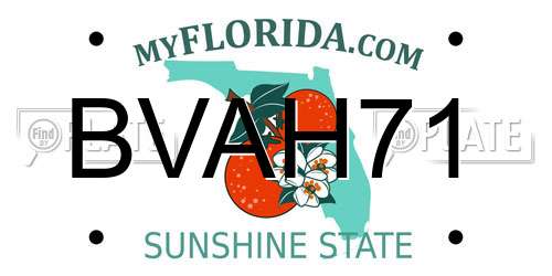 BVAH71 Florida License Plate
