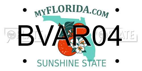 BVAR04 Florida License Plate