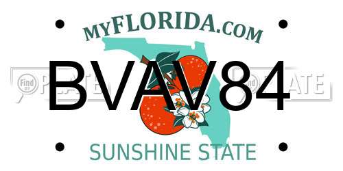 BVAV84 Florida License Plate
