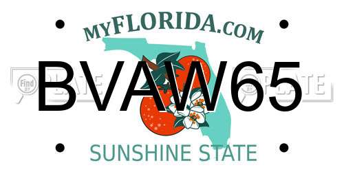 BVAW65 Florida License Plate